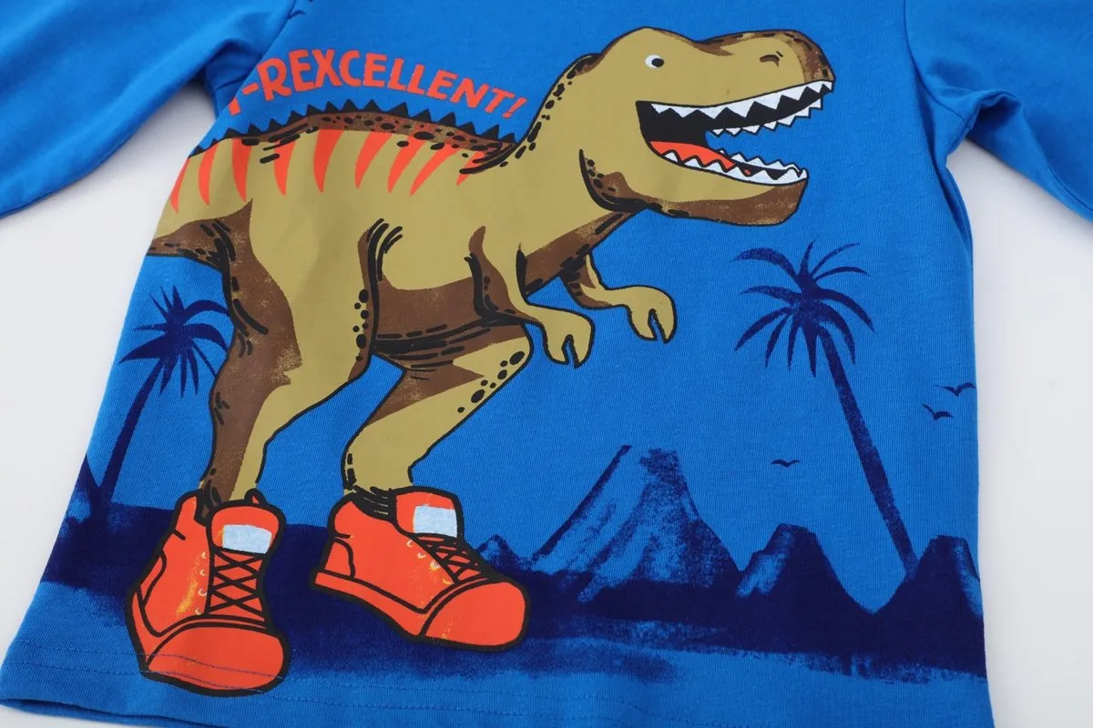 Toddler Boy Letter Dinosaur Print Casual Tee