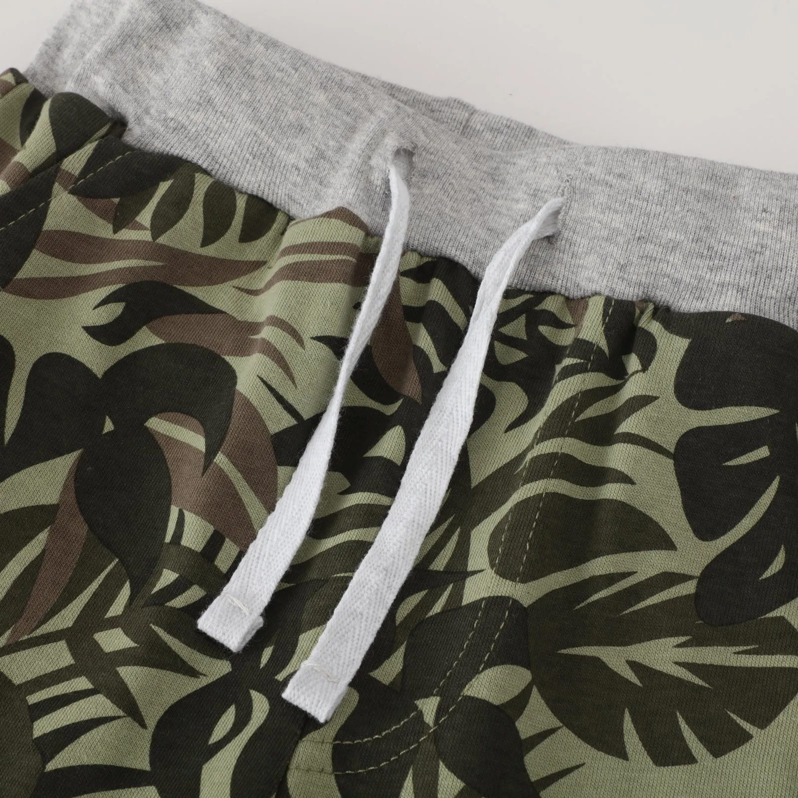 Toddler Boy's Elephant Print T-shirt with Shorts Set