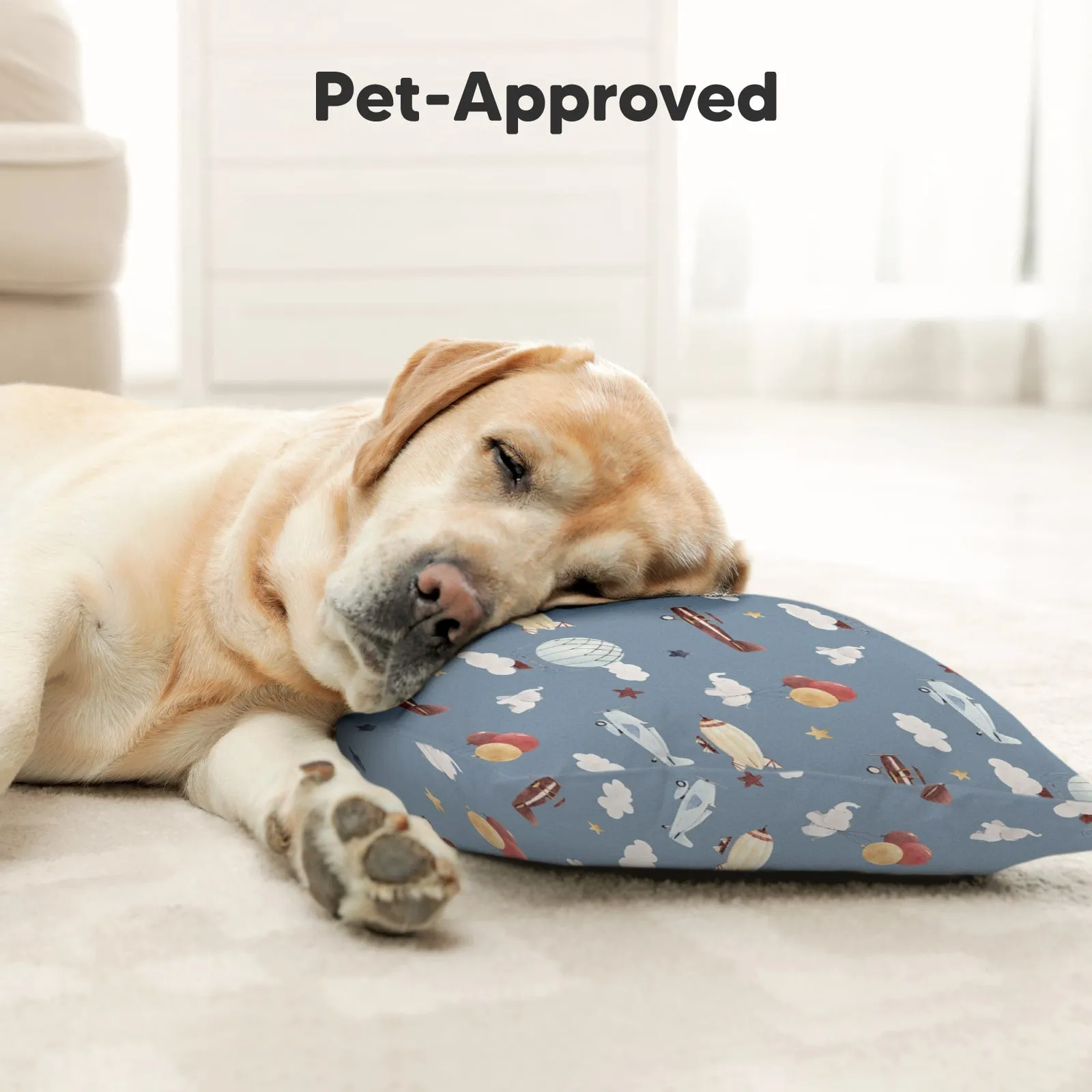 Toddler Pillow with Pillowcase (Up & Away)